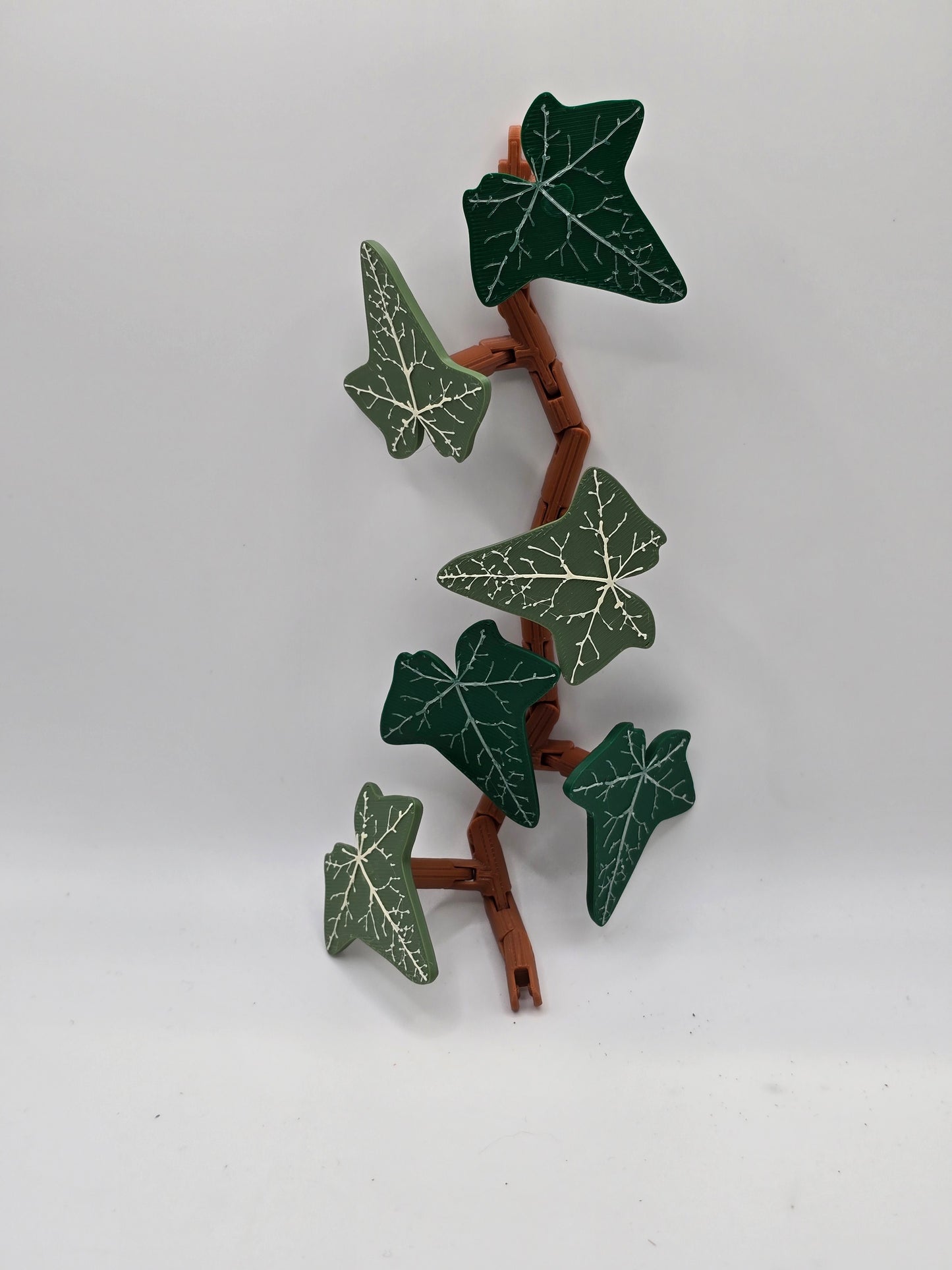 Magnetic Ivy