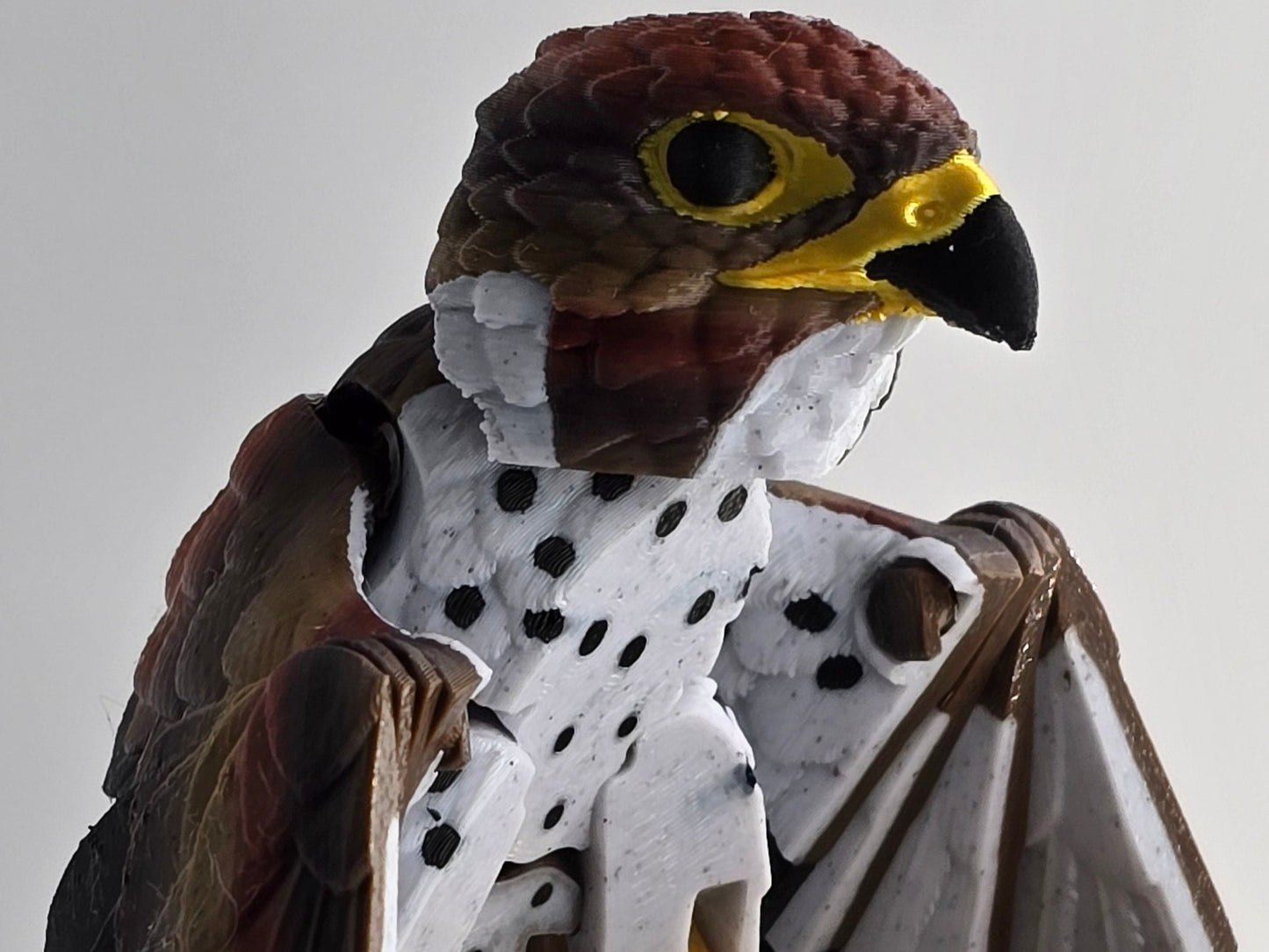 3D Printed Peregrine Falcon