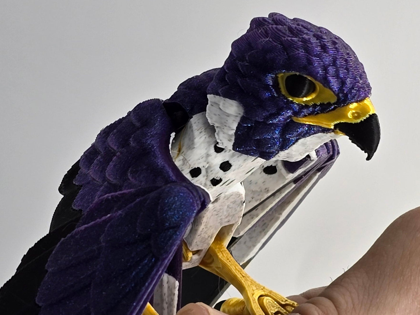 3D Printed Peregrine Falcon