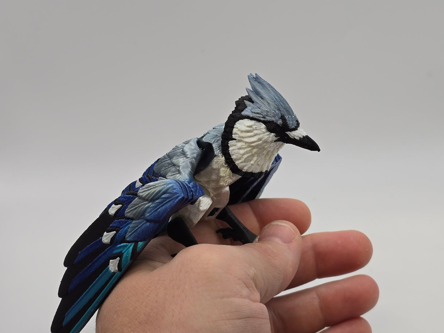 3D Printed BlueJay