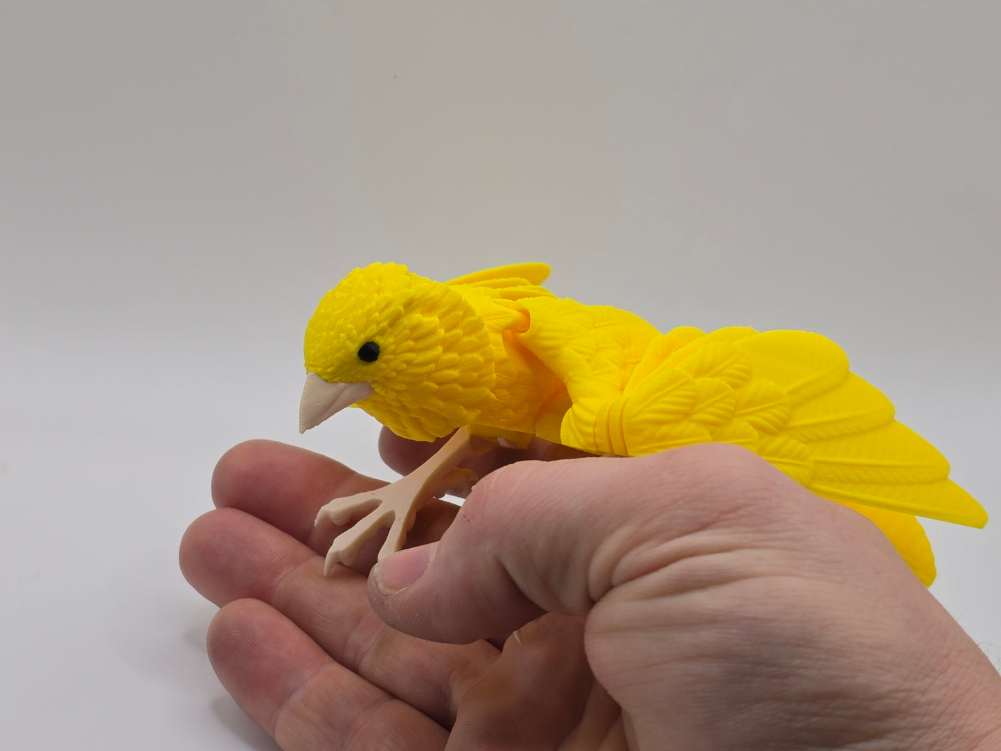3D Printed Canary